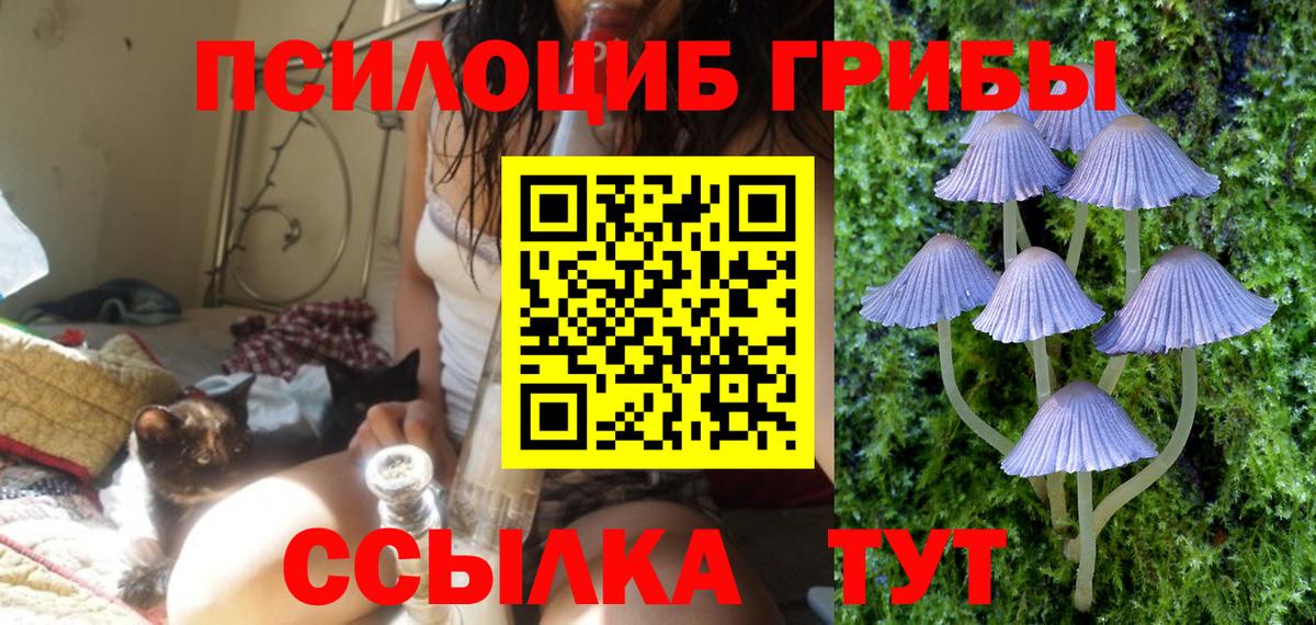 Галлюциногенные грибы прущие грибы  Вход с VPN  Псилоцибиновые грибы Cubensis  Ливны 